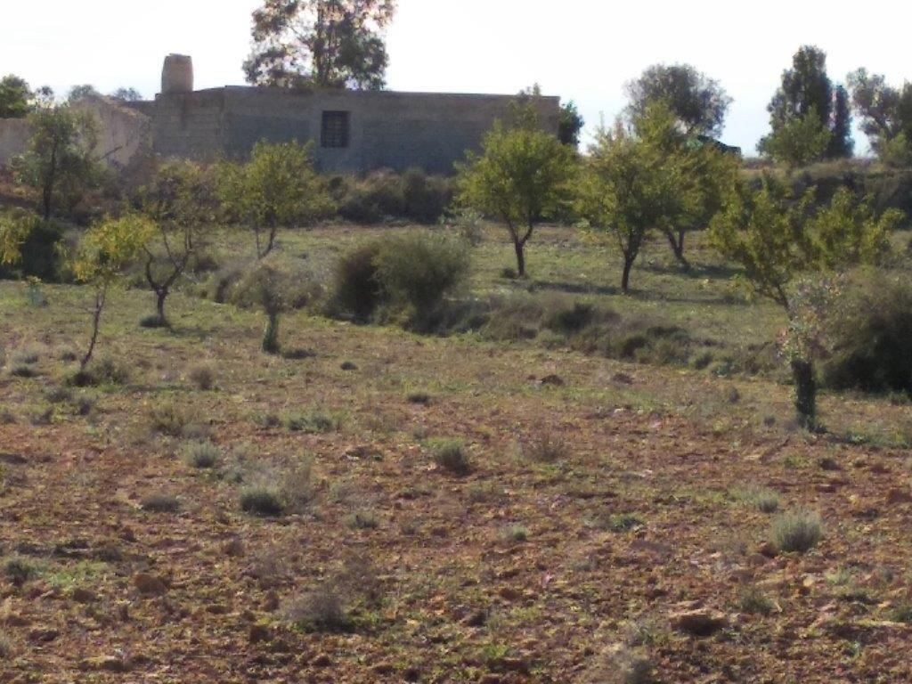 Property main view 32