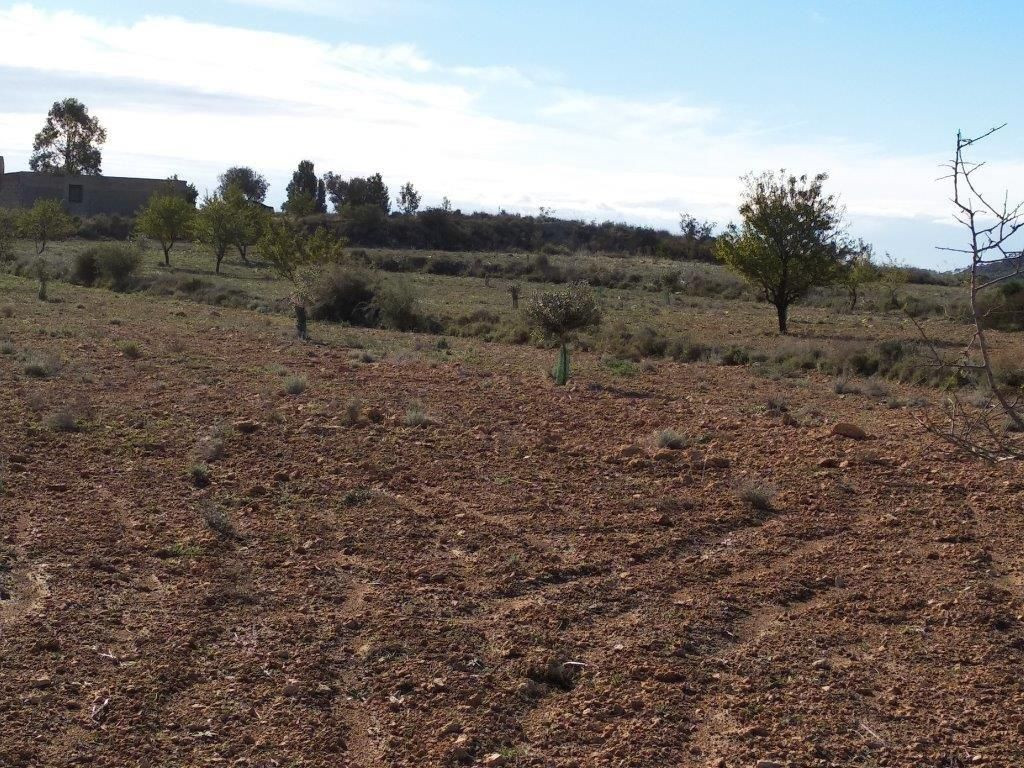 Property main view 33