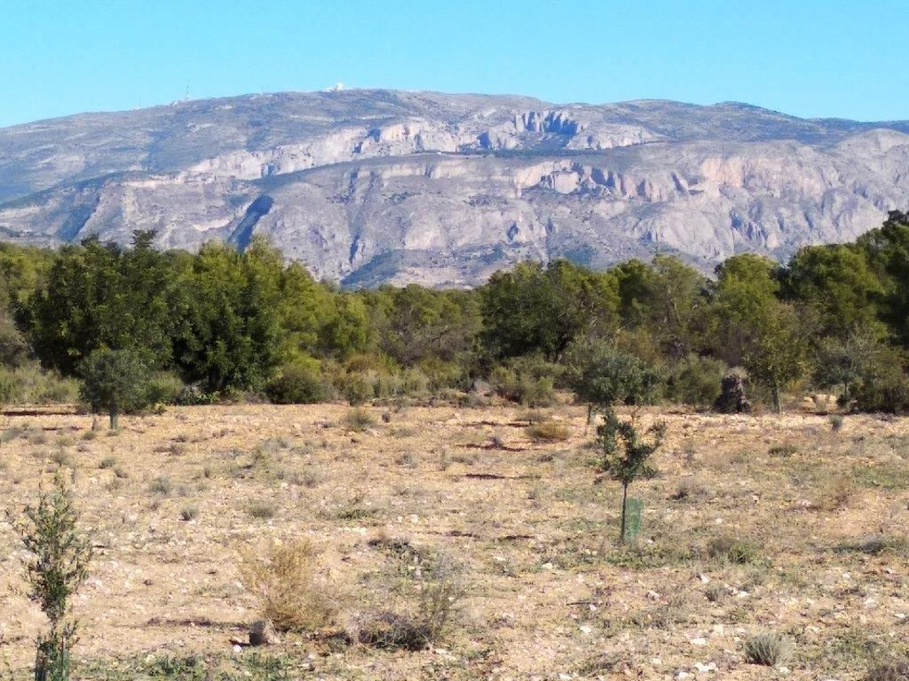 Property main view 34