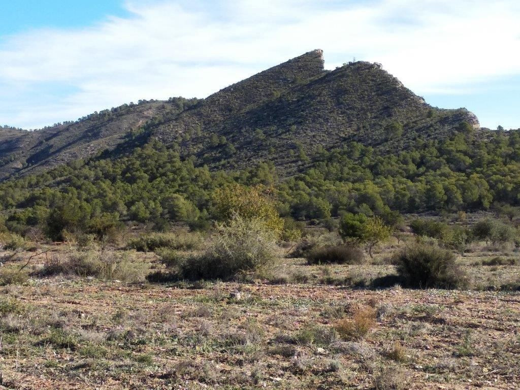 Property main view 35