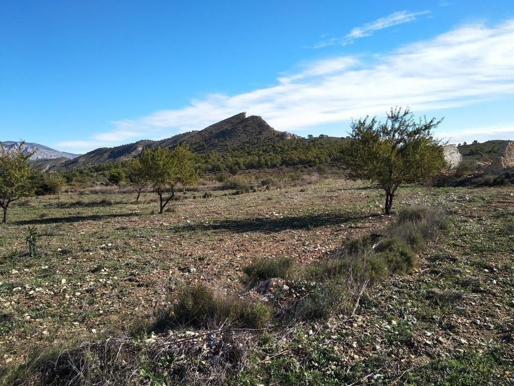 Property main view 36