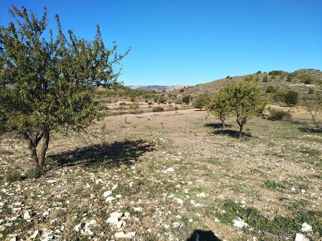 Property main view 38