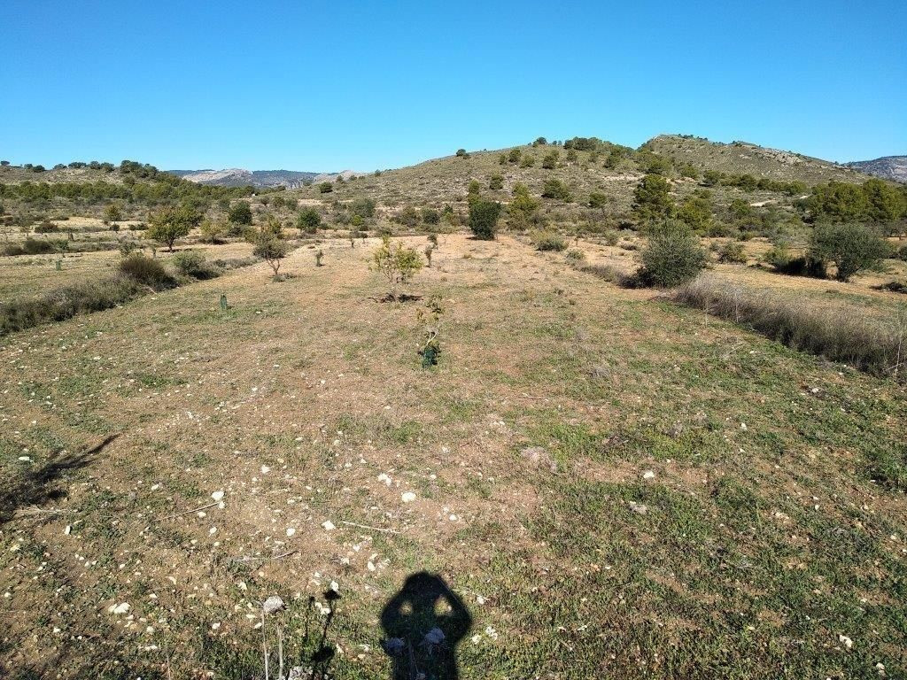 Property main view 39