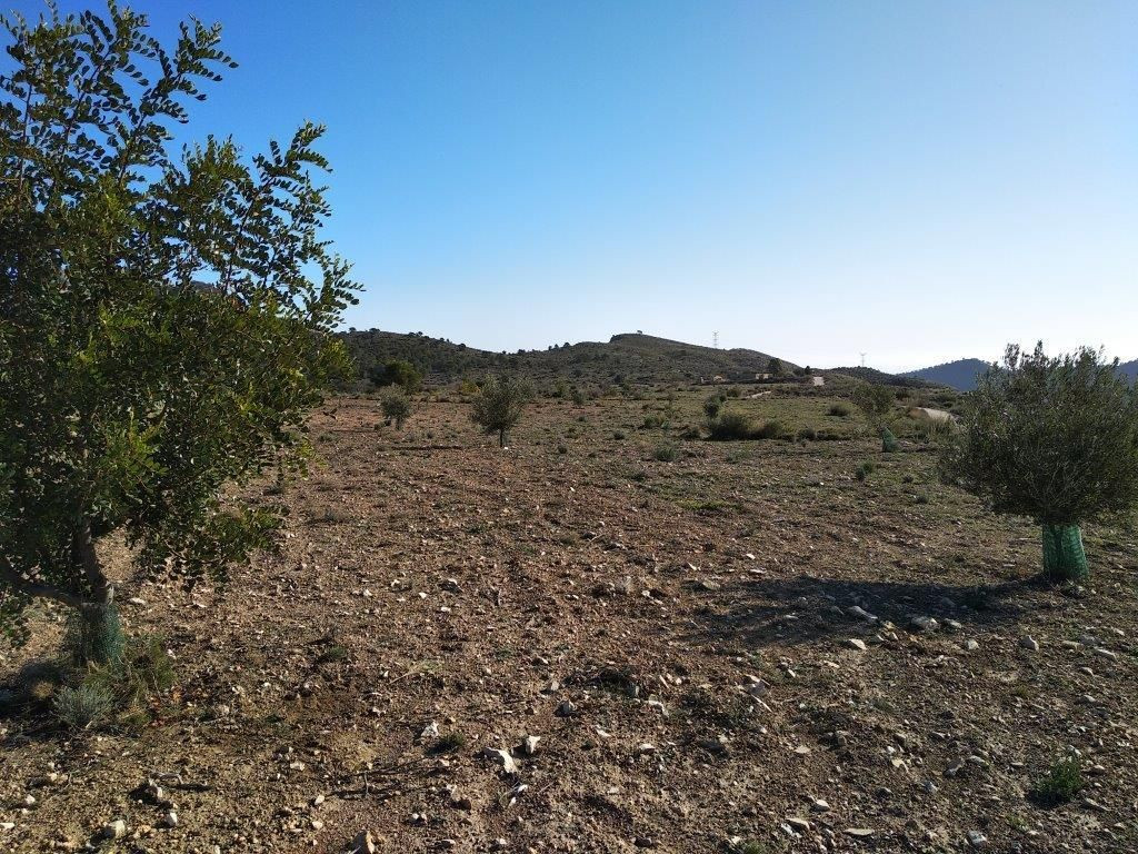 Property main view 4