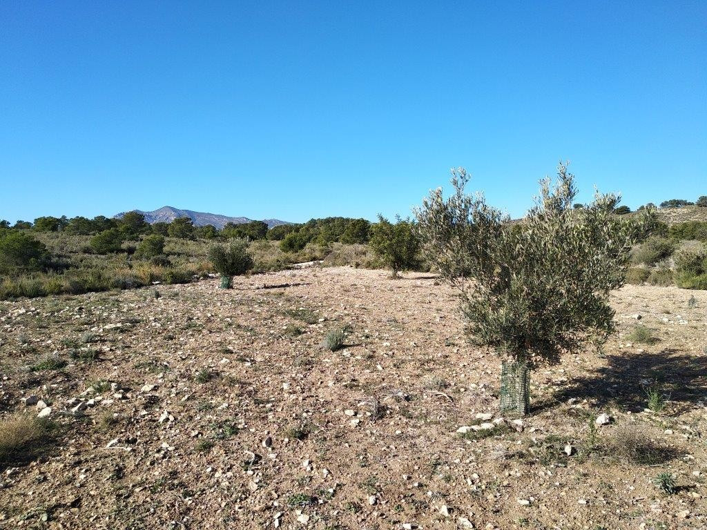 Property main view 10