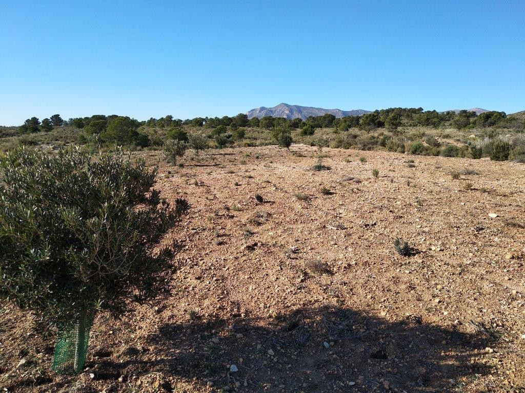 Property main view 11