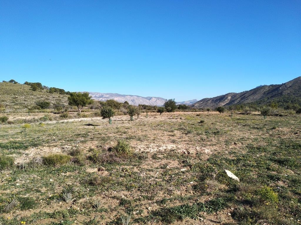 Property main view 12