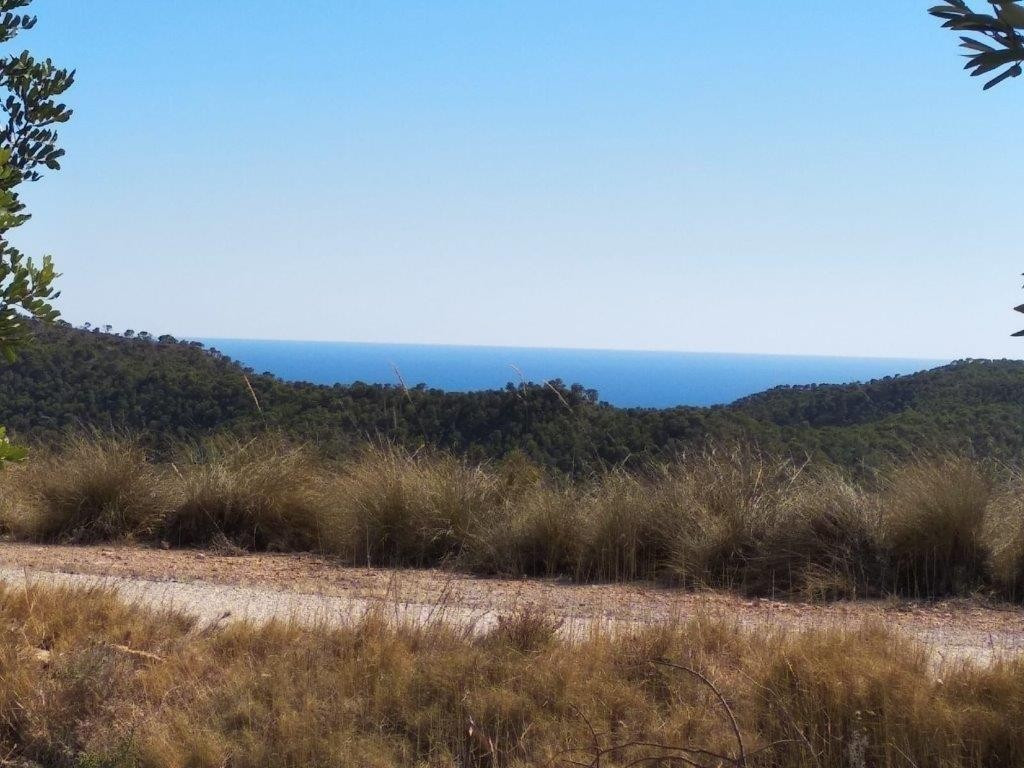 Property main view 15