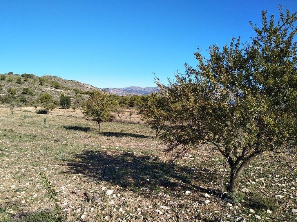 Property main view 2