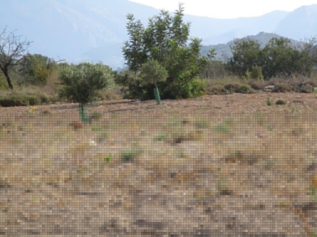 Property main view 22