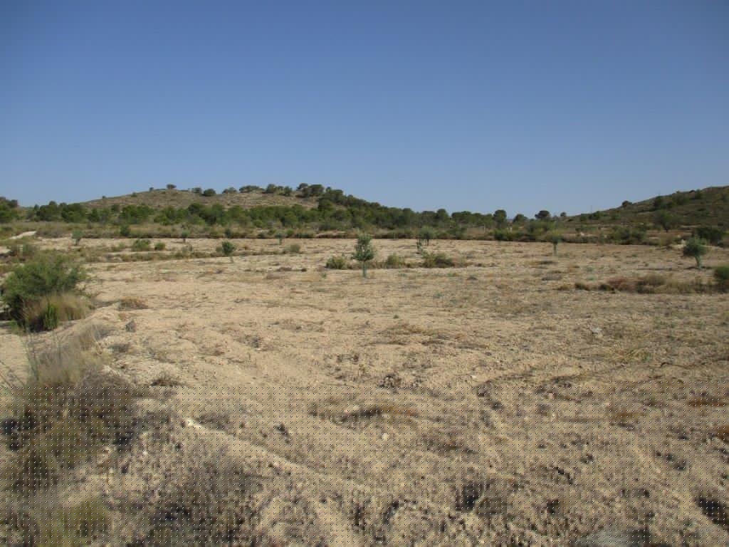 Property main view 26