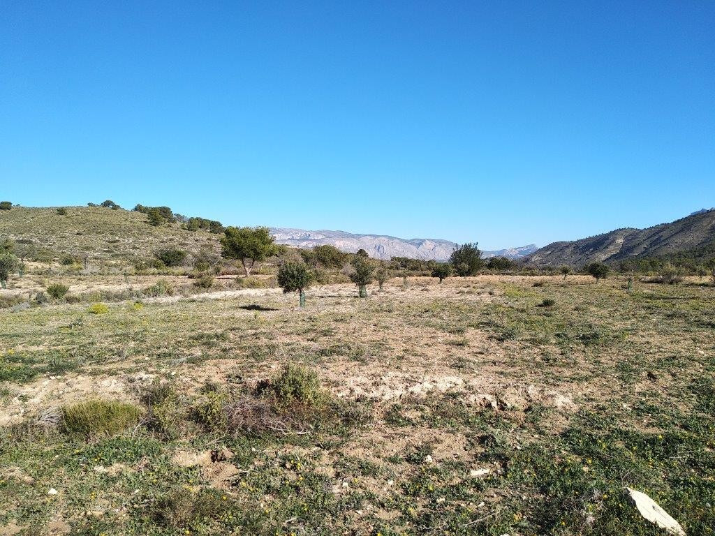 Property main view 3