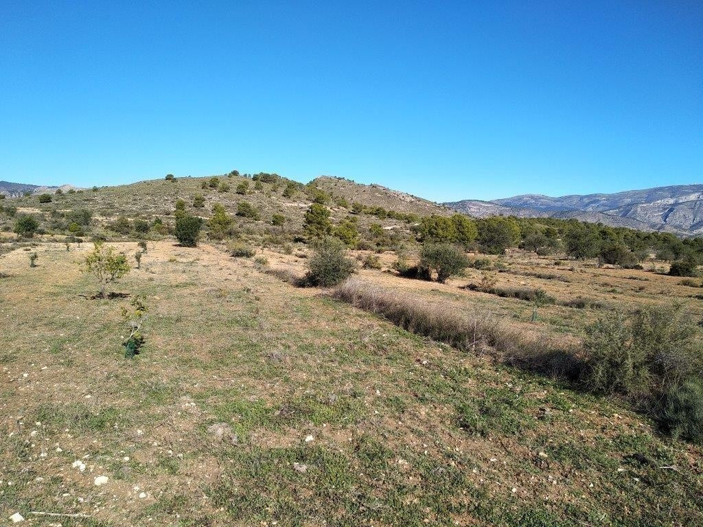 Property main view 31