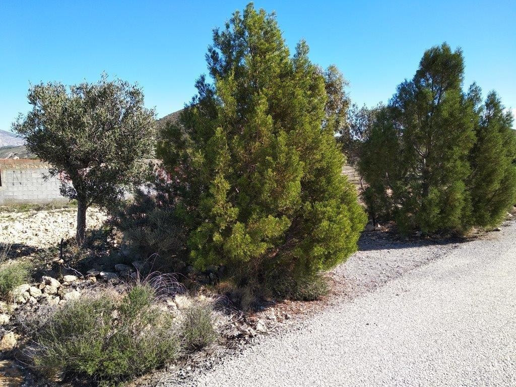 Property main view 32