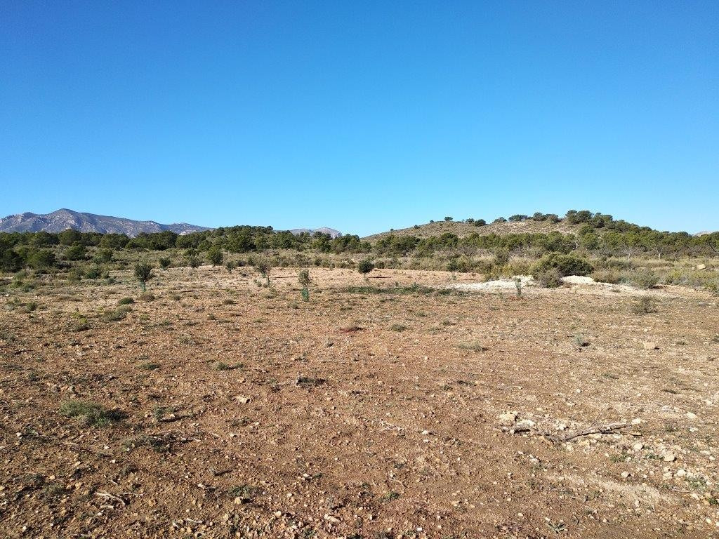 Property main view 5