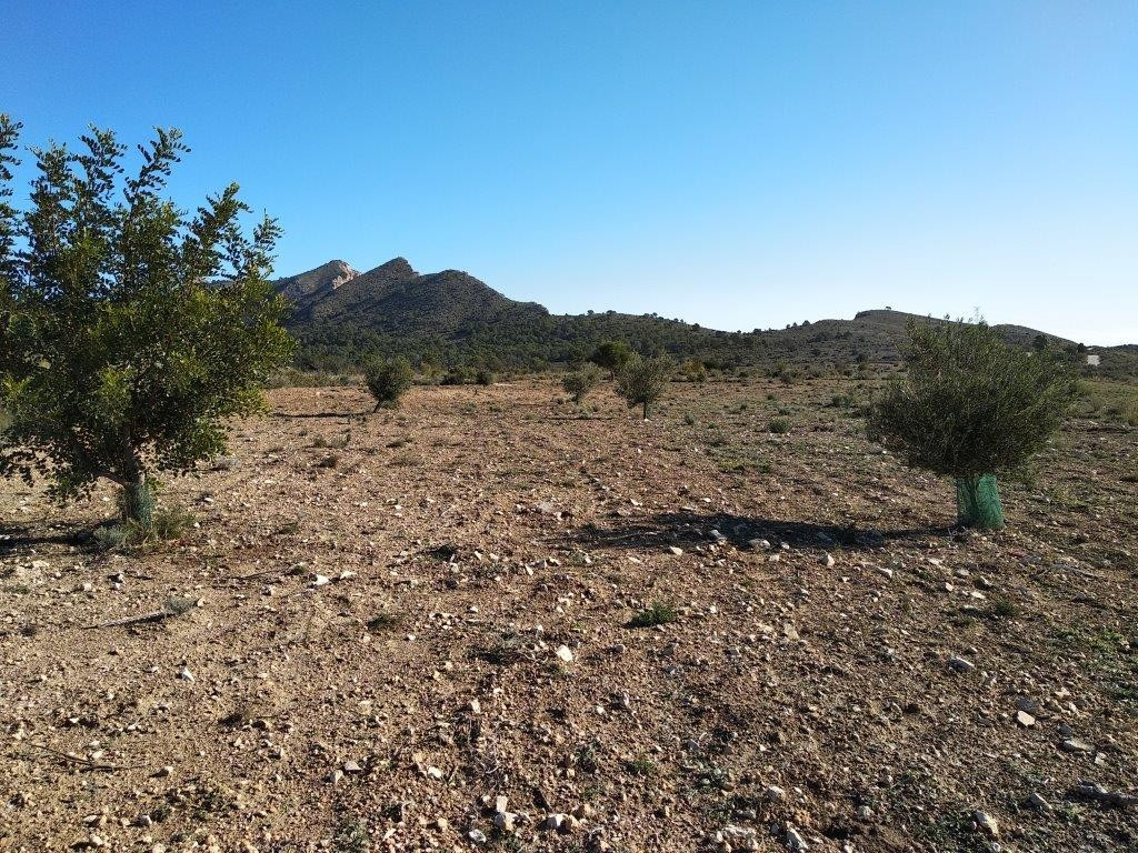 Property main view 6