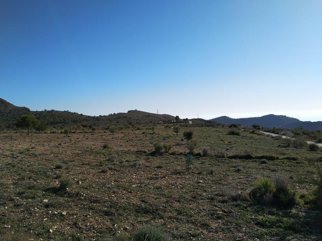 Property main view 9