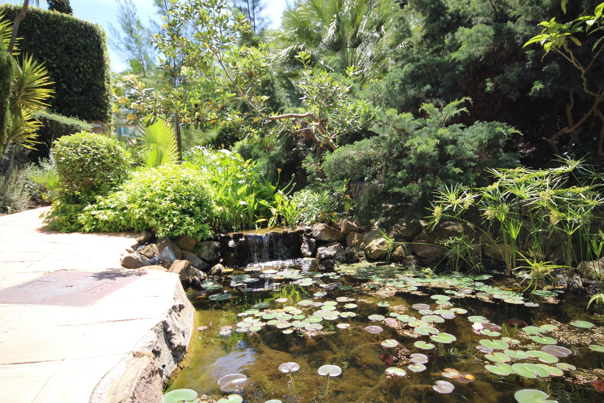 Property main view 38