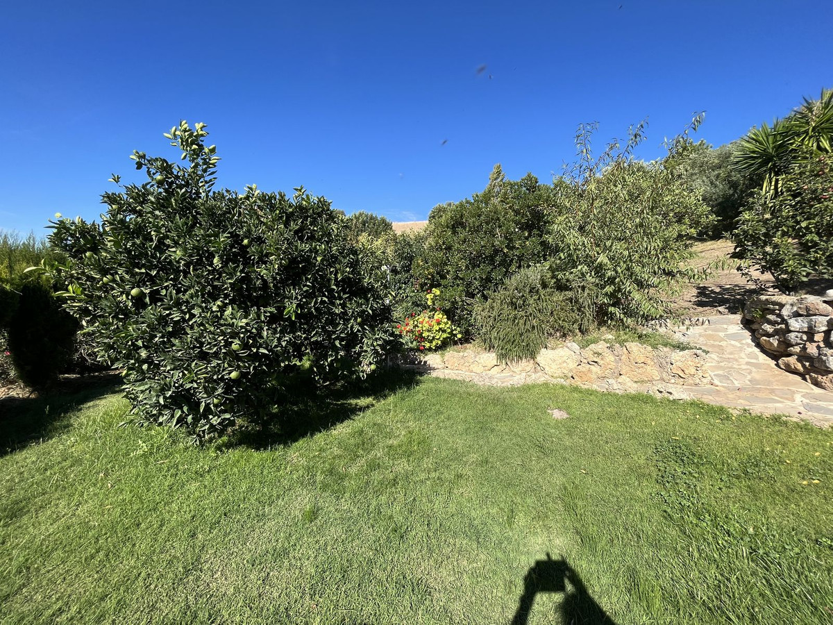 Property main view 20