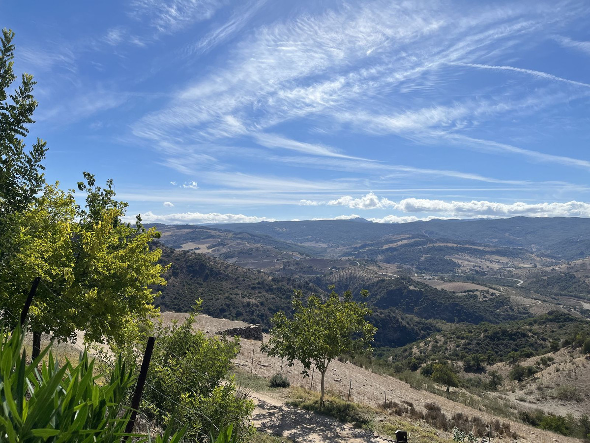 Property main view 22