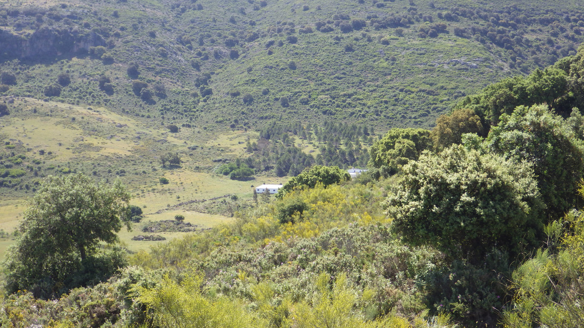 Grond in Ronda-1
