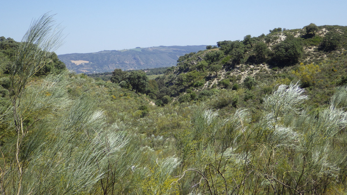 Grond in Ronda-9