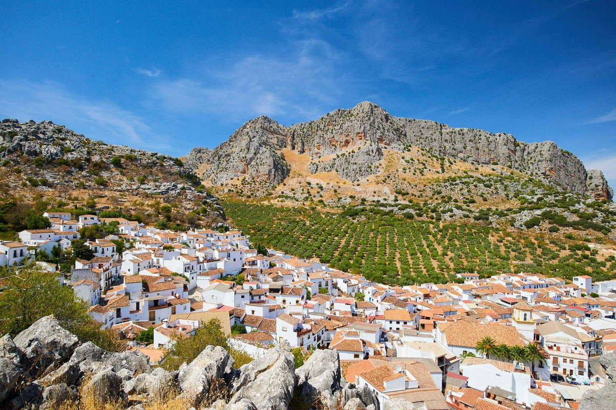 Percelen te koop in Ronda | 0 slaapkamers H5251297