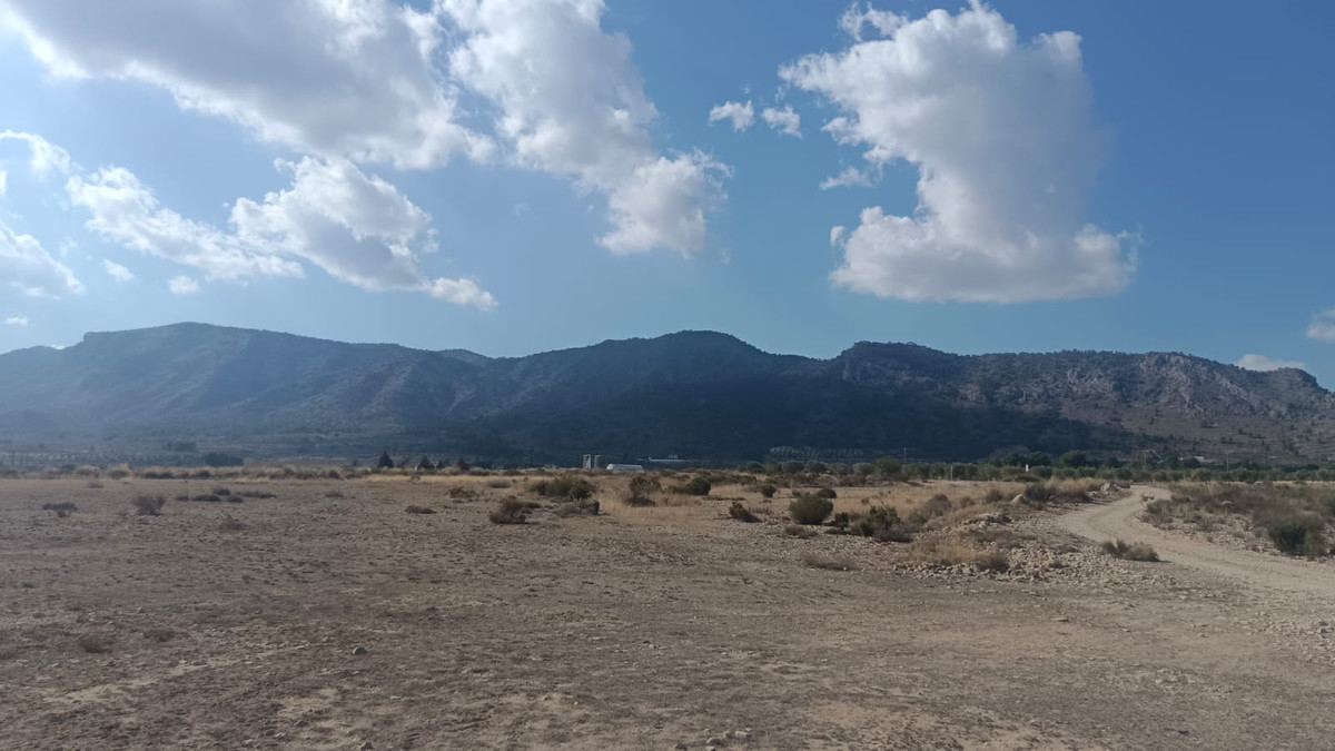 Property main view 8