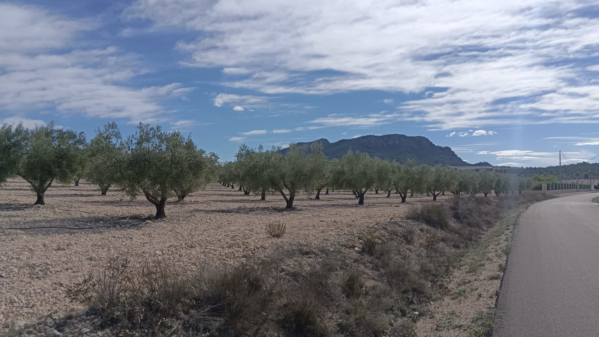 Property main view 11