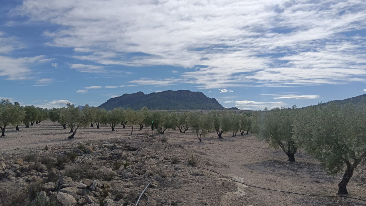 Property main view 2