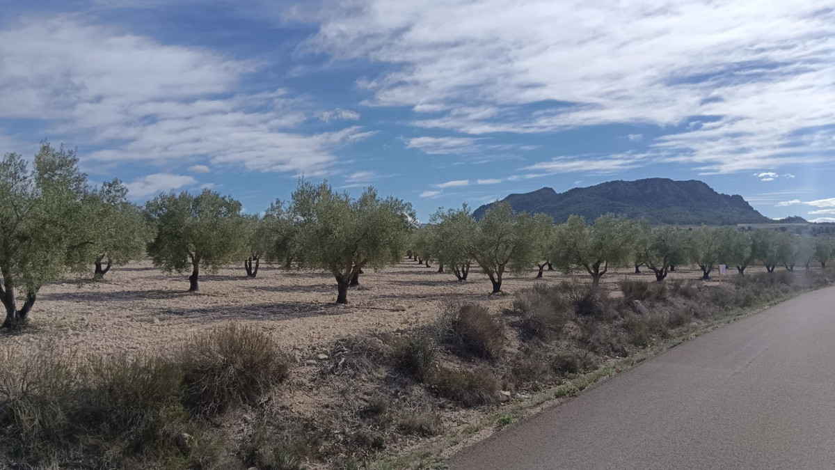 Property main view 5