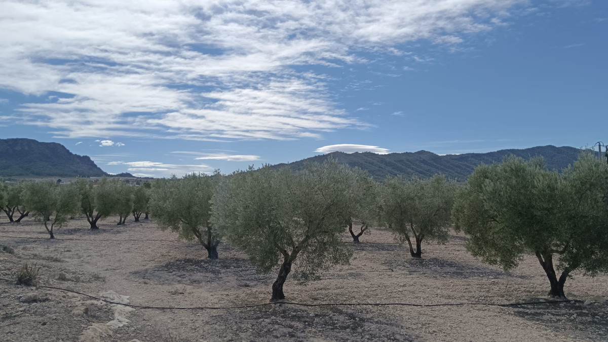 Property main view 6