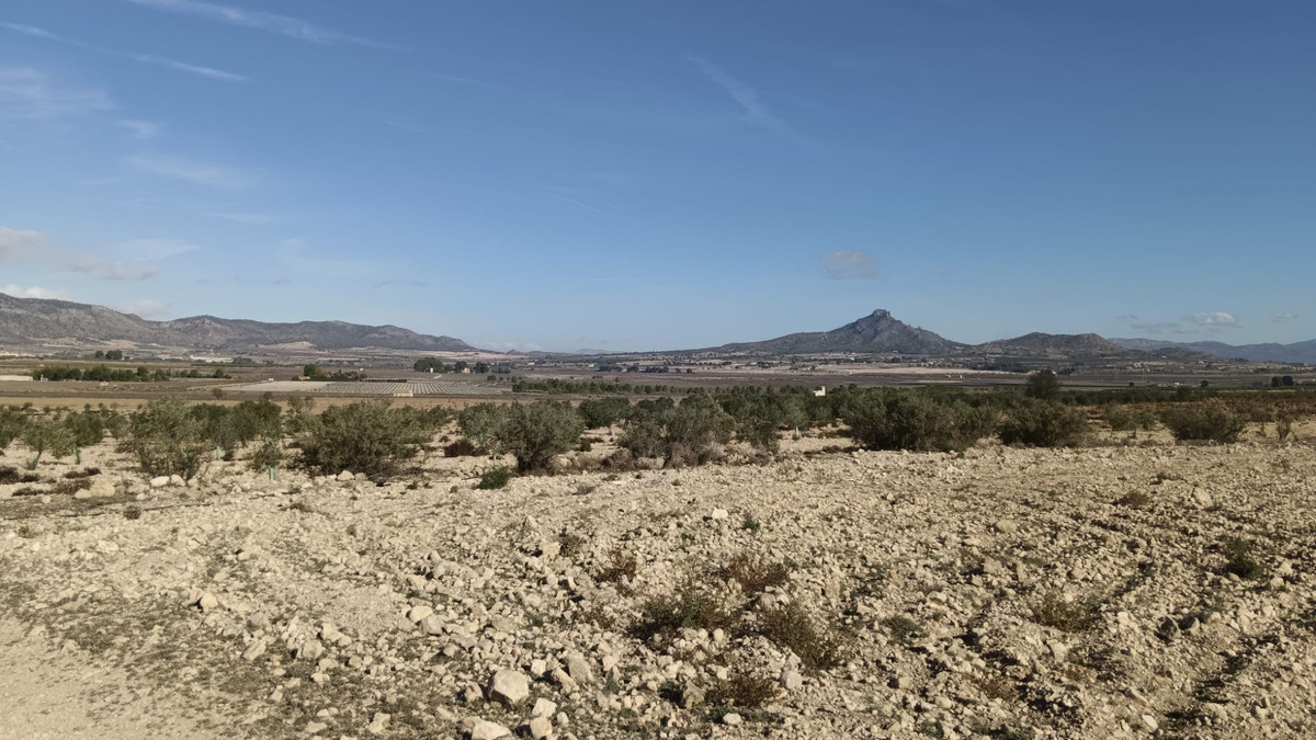 Property main view 7