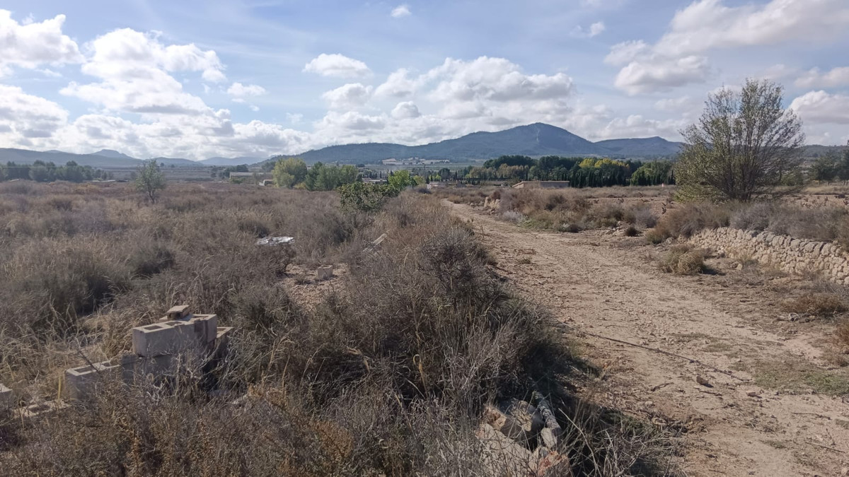 Property main view 2