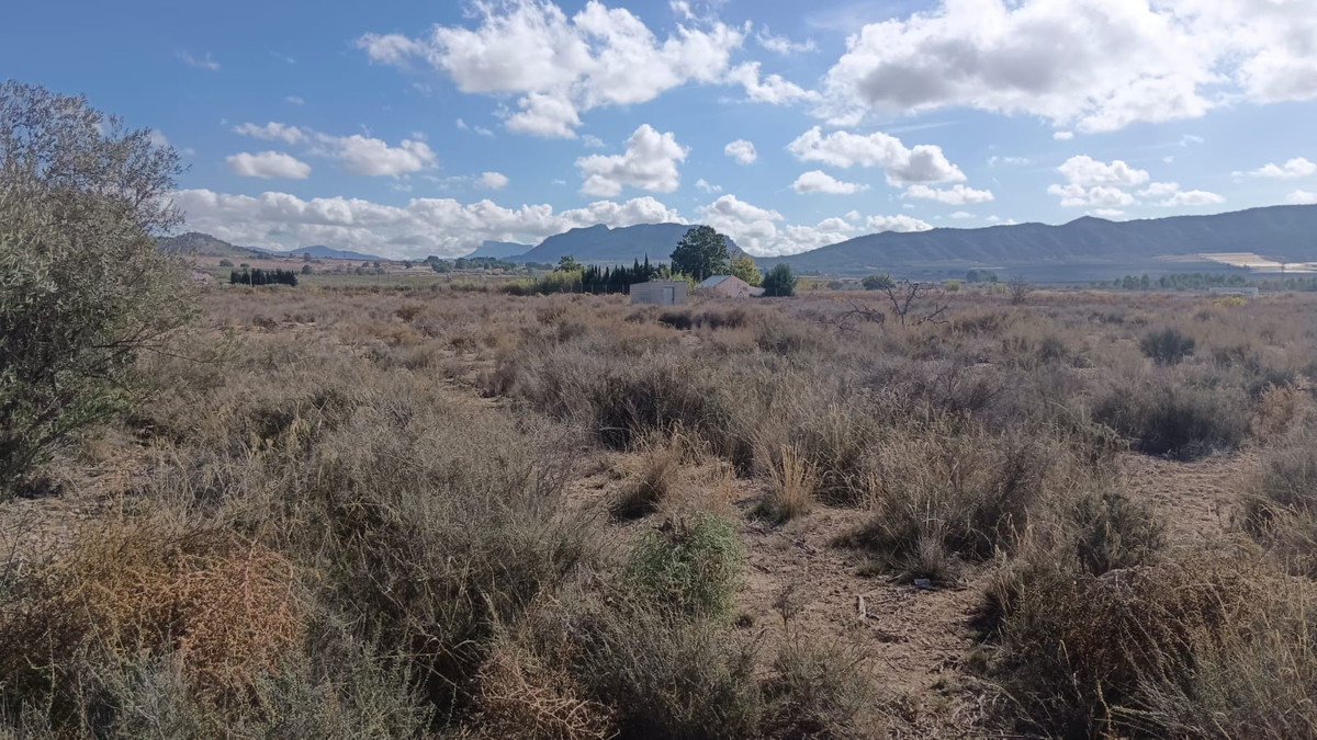 Property main view 3