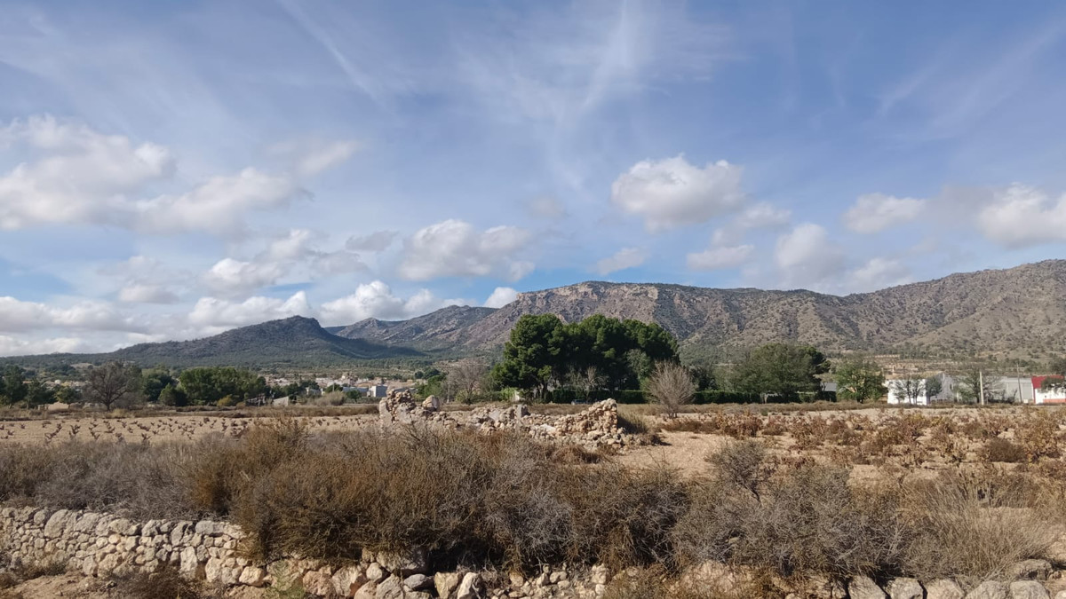 Property main view 6