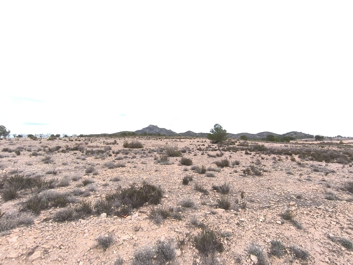 Property main view 10