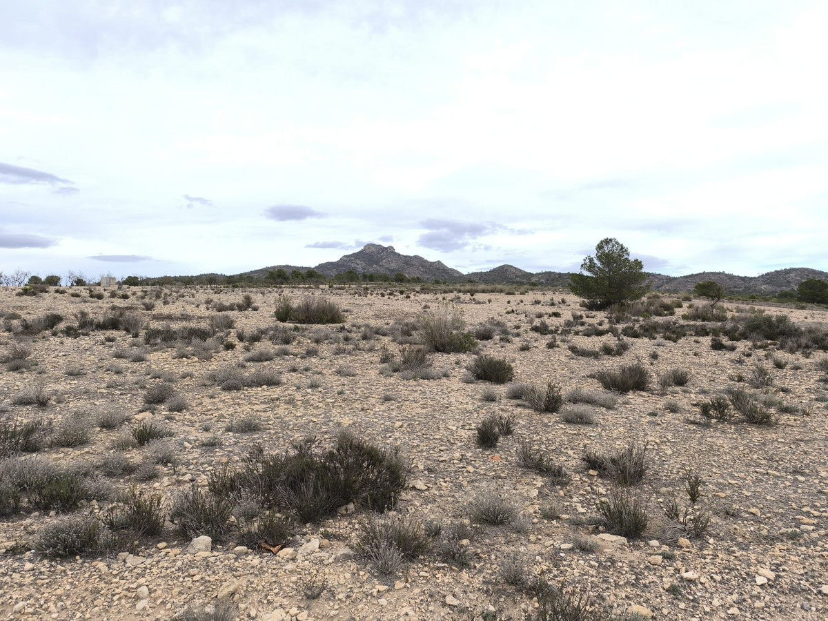 Property main view 3