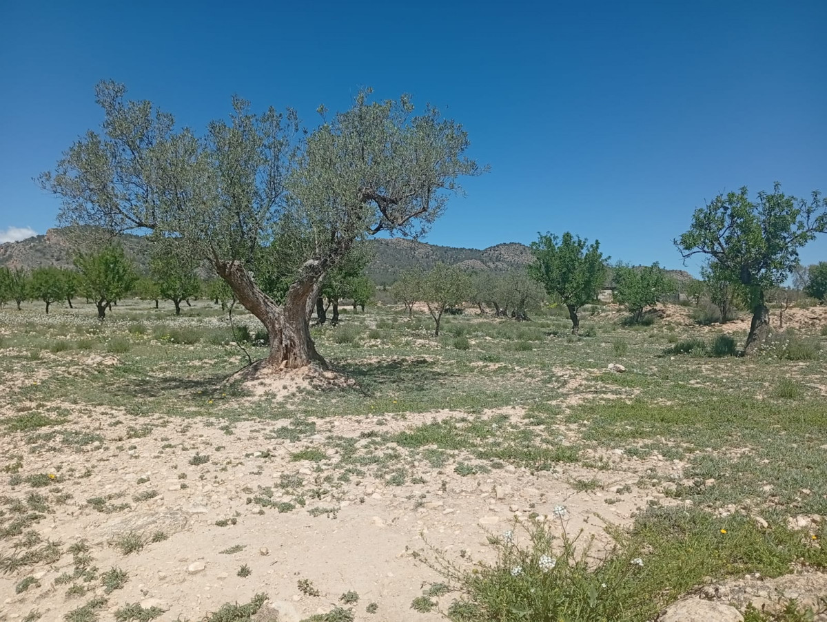 Property main view 4