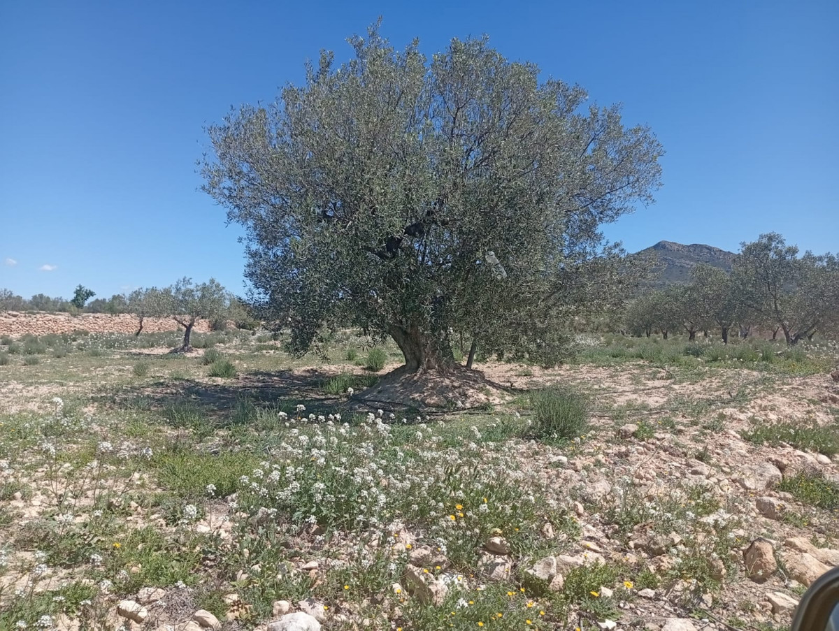 Property main view 5