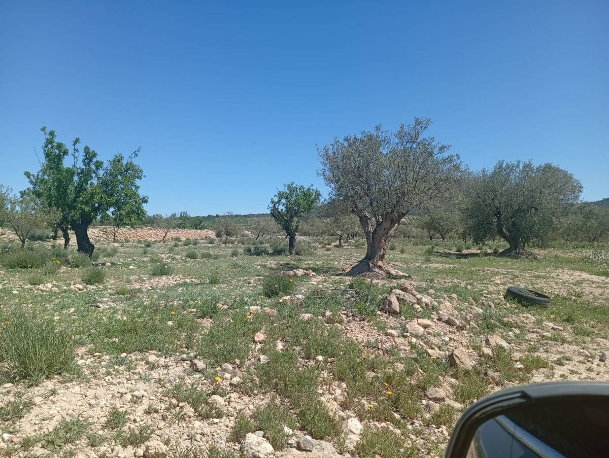 Property main view 6