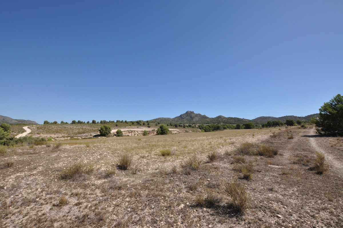 Property main view 2