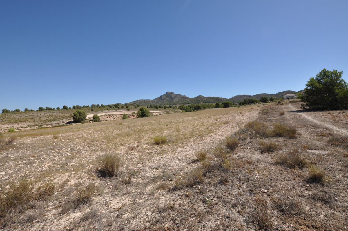 Property main view 3
