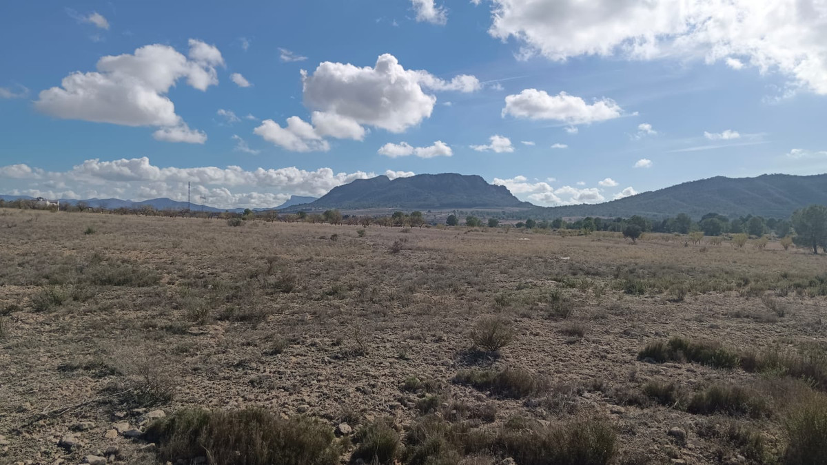 Grond te koop in Salinas | 0 slaapkamers H5508607