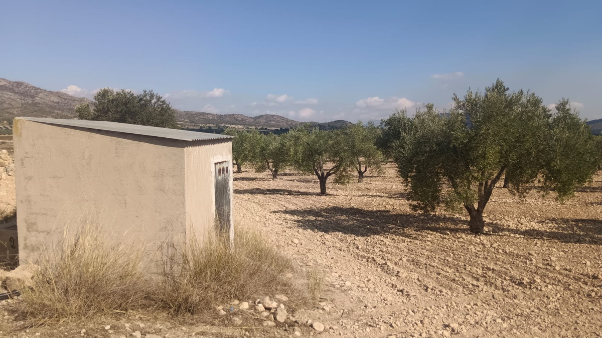 Grond te koop in Salinas | 0 slaapkamers H5508718