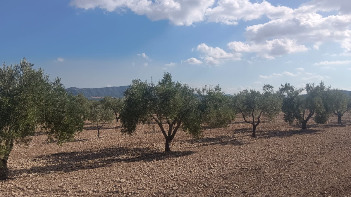 Grond te koop in Salinas | 0 slaapkamers H5508718