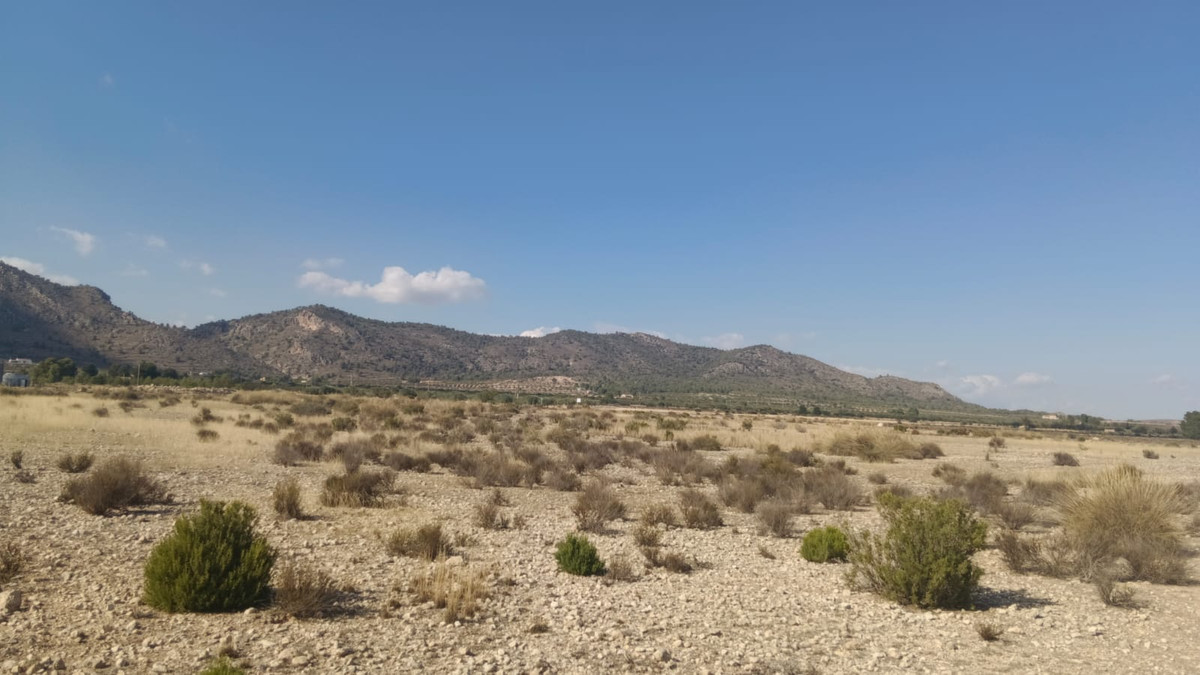 Grond te koop in Salinas | 0 slaapkamers H5508718