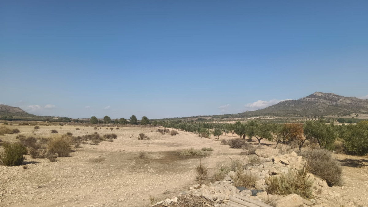 Grond te koop in Salinas | 0 slaapkamers H5508718
