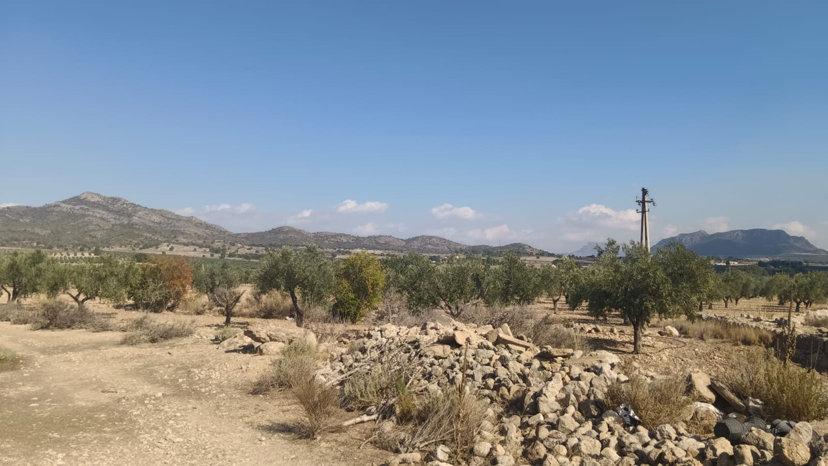 Grond te koop in Salinas | 0 slaapkamers H5508718