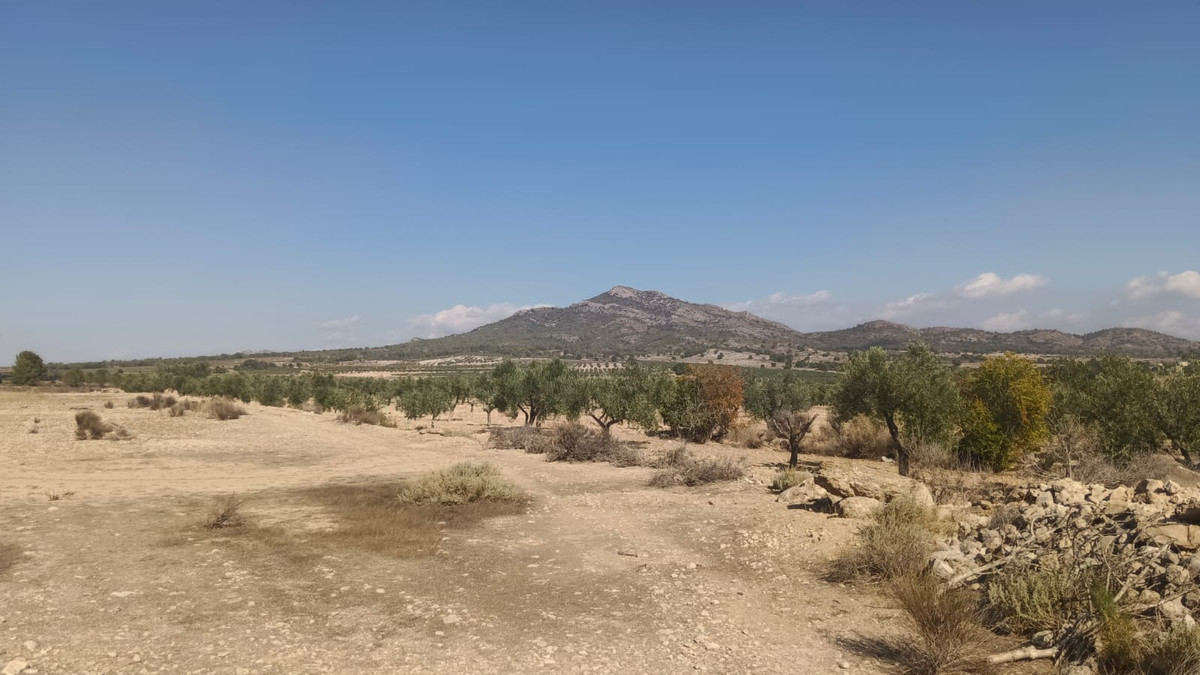 Grond te koop in Salinas | 0 slaapkamers H5508718